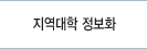 지역대학 정보화